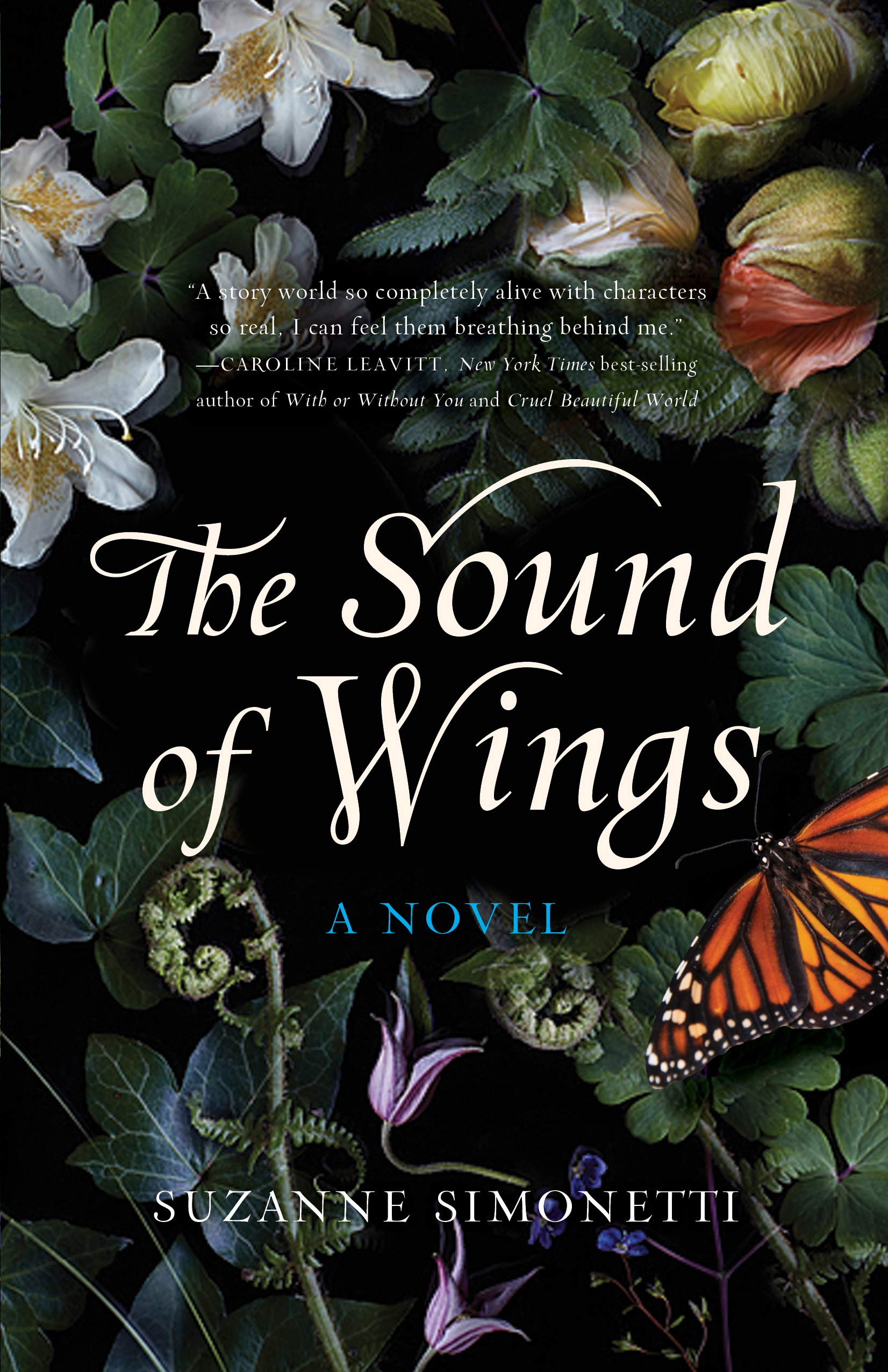 The Sound of Wings: A Novel,Used
