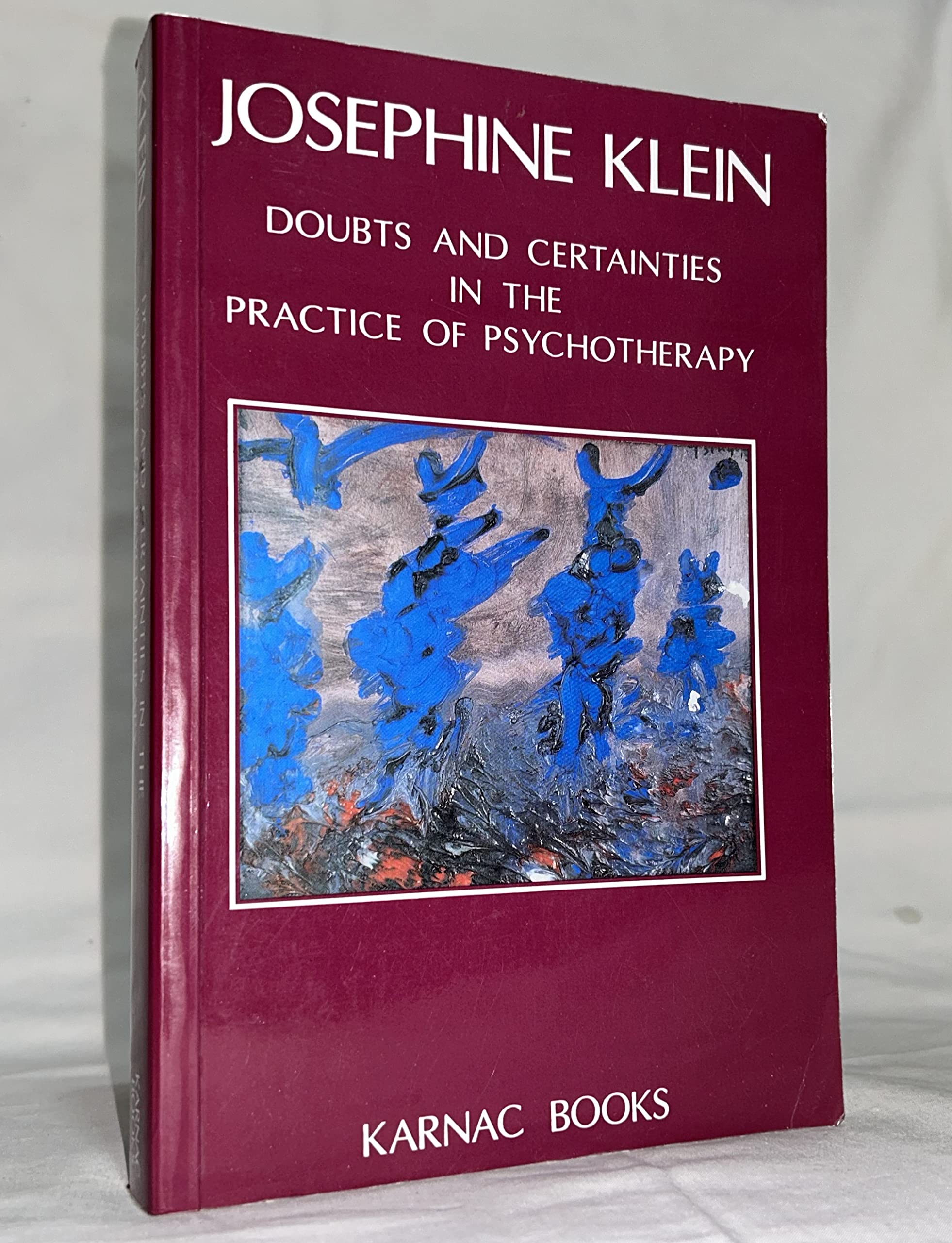 Doubts and Certainties in the Practice of Psychotherapy,Used