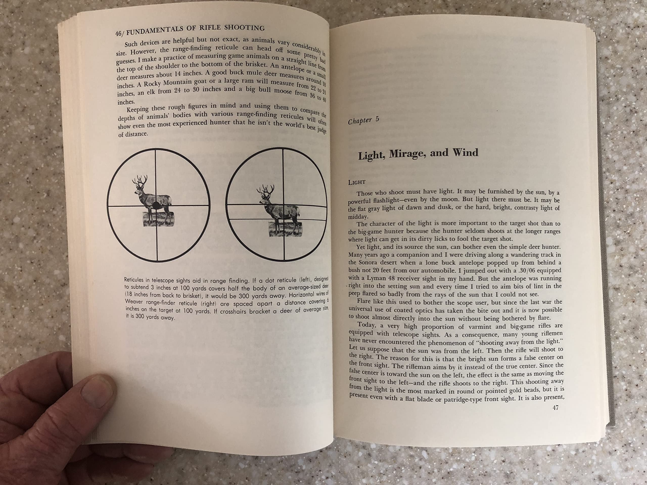 Sheep and Sheep Hunting: The Definitive Book on Wild Sheep,Used
