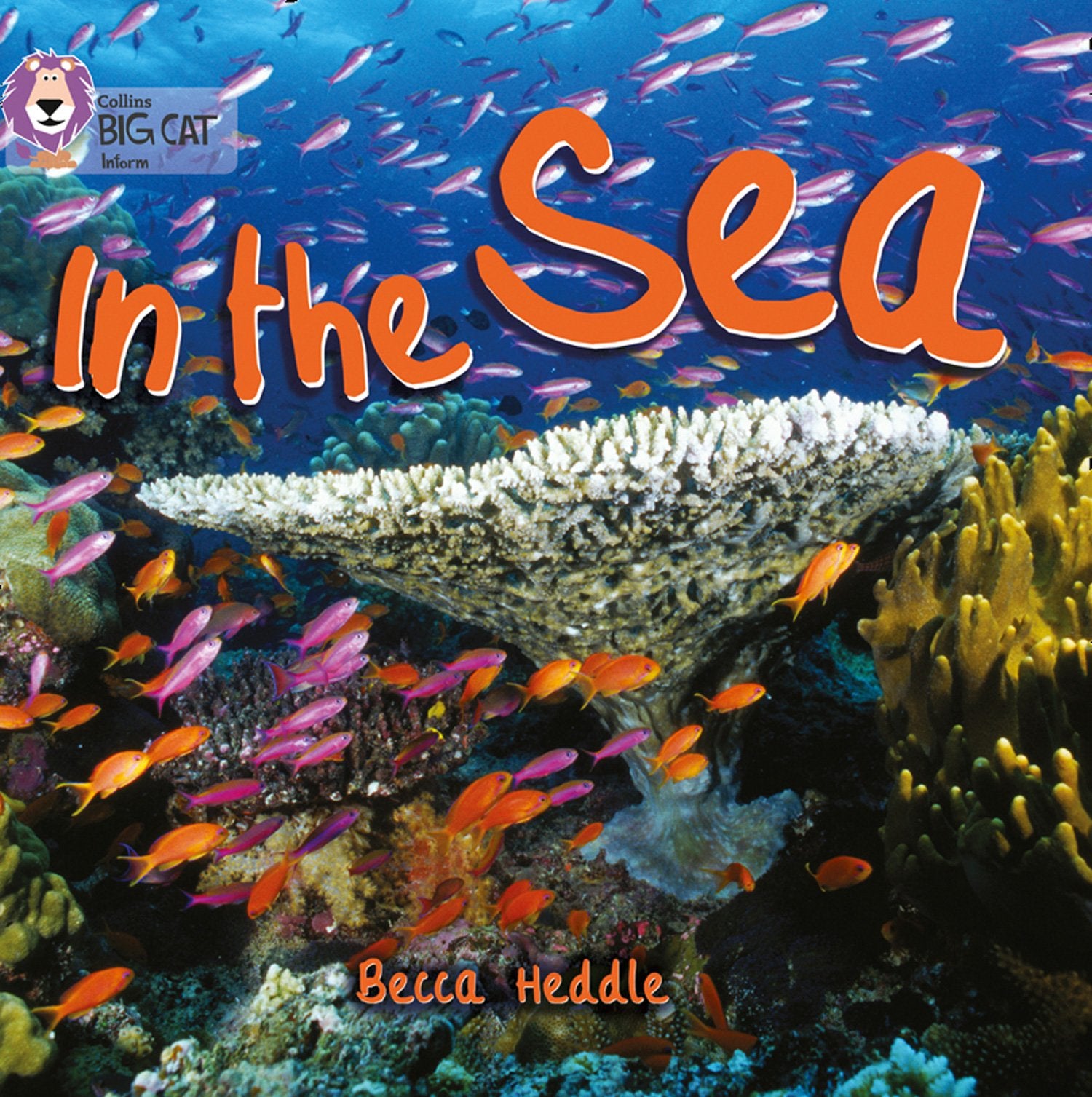 In the Sea: Band 01B/Pink B (Collins Big Cat),Used