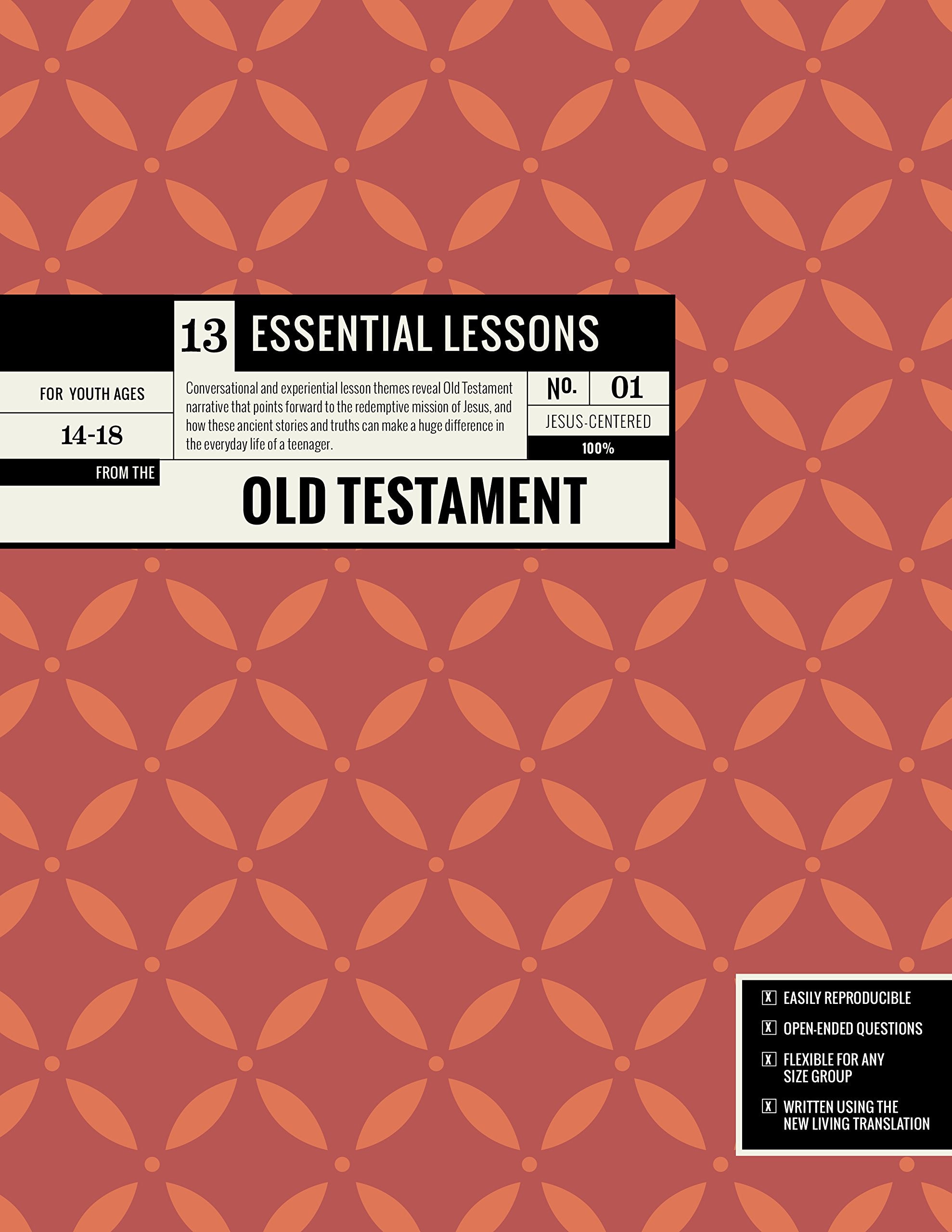 13 Essential Lessons From The Old Testament: 13 Lessons For Teenagers