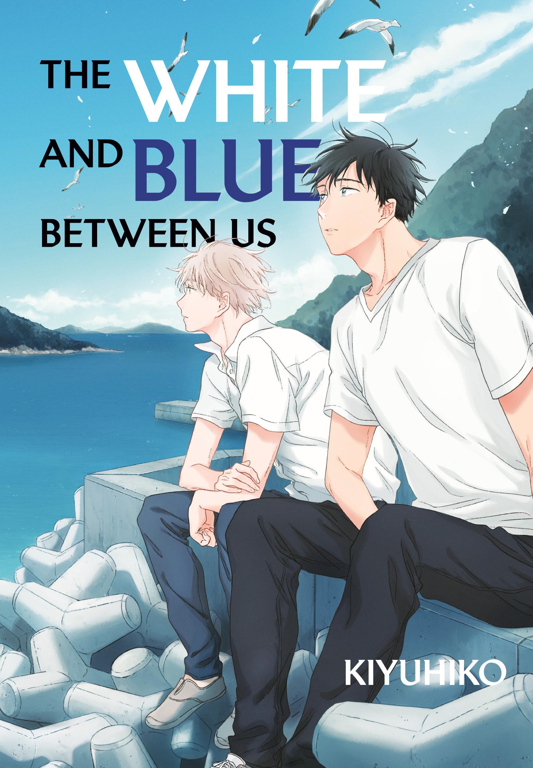 The White And Blue Between Us,Used