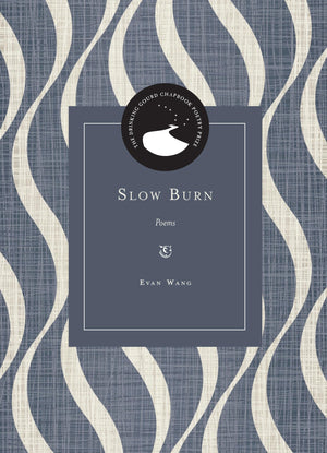 Slow Burn: Poems (Drinking Gourd Chapbook Poetry Prize)