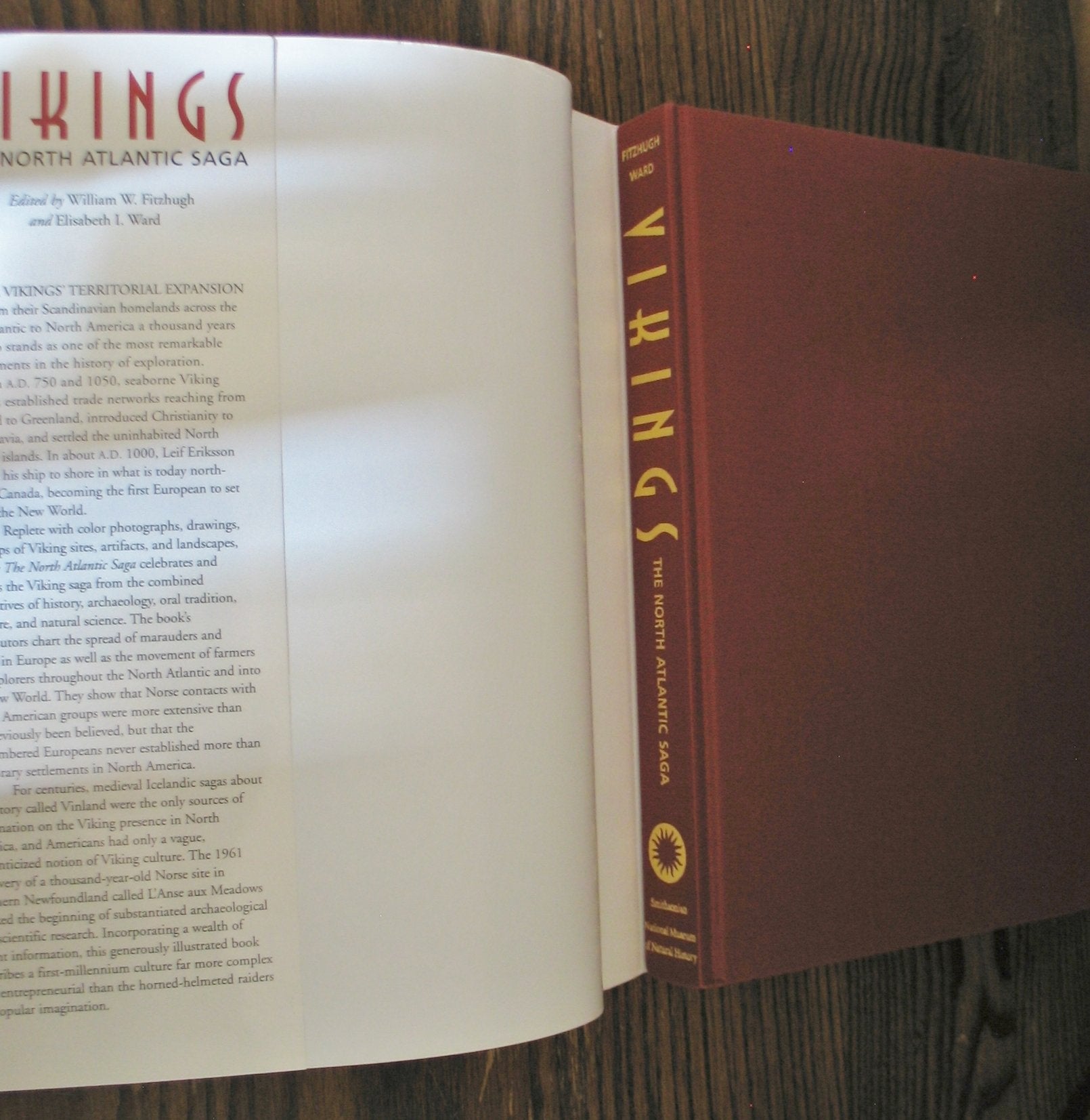 Vikings: The North Atlantic Saga,Used