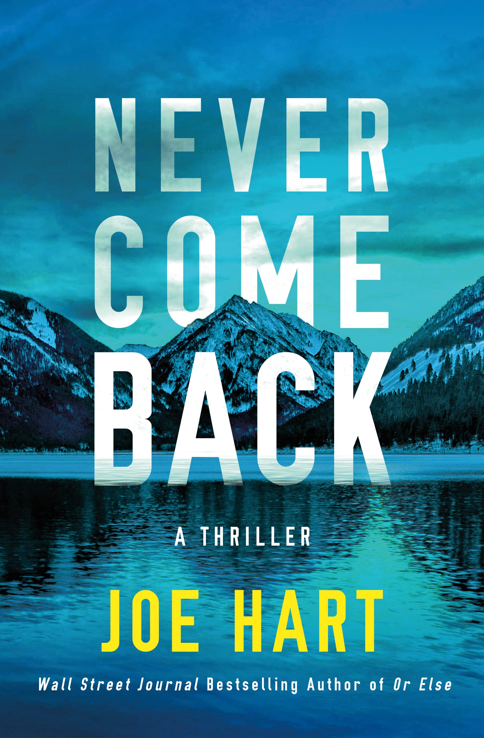 Never Come Back: A Thriller (Nora McTavish),New