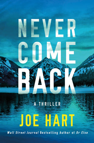 Never Come Back: A Thriller (Nora McTavish),New