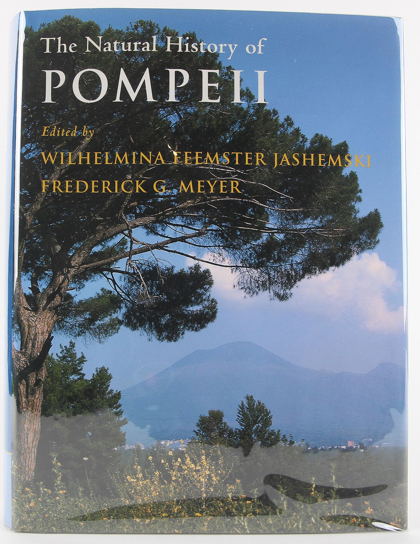 The Natural History of Pompeii,Used