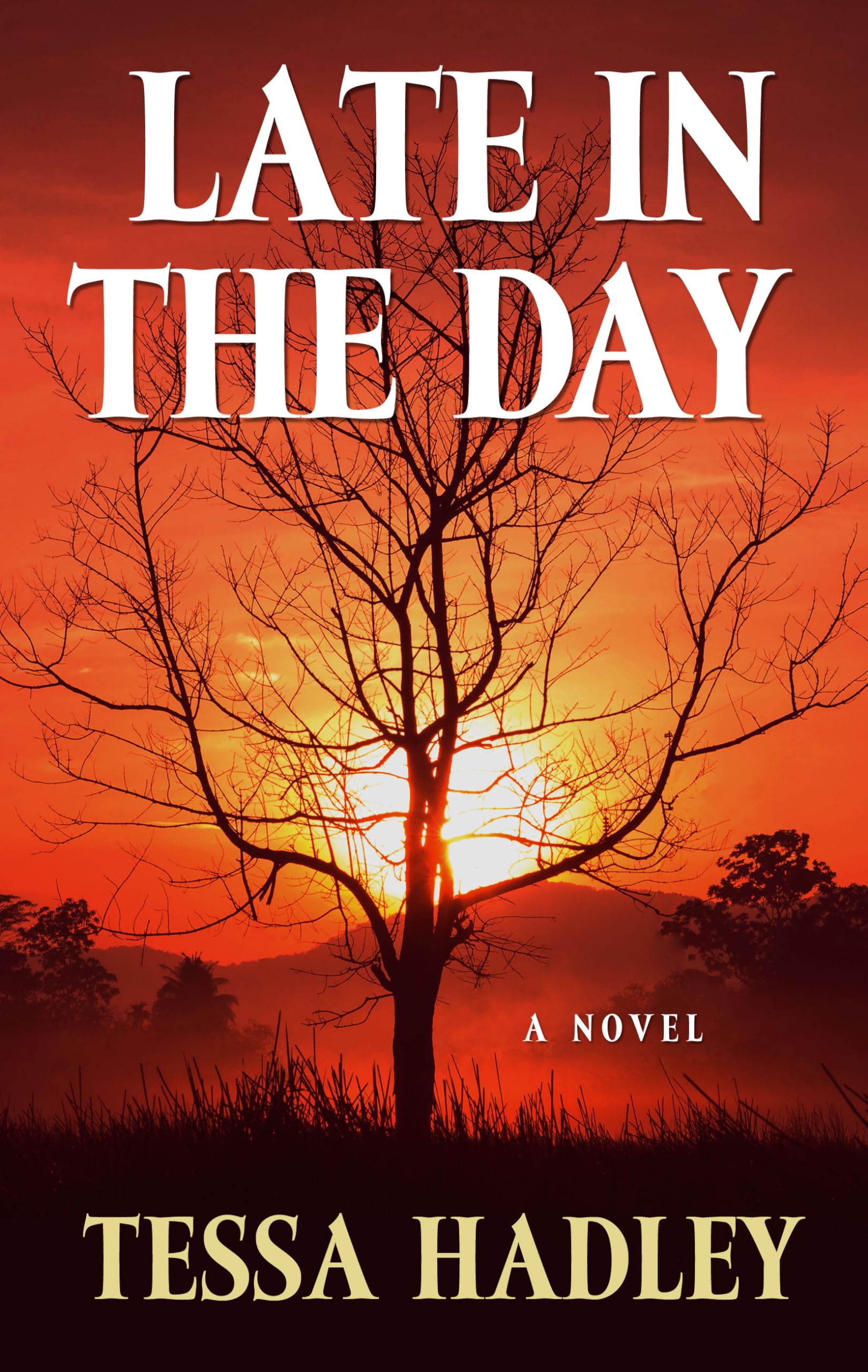 Late in the Day (Thorndike Press Large Print Basic Series),Used