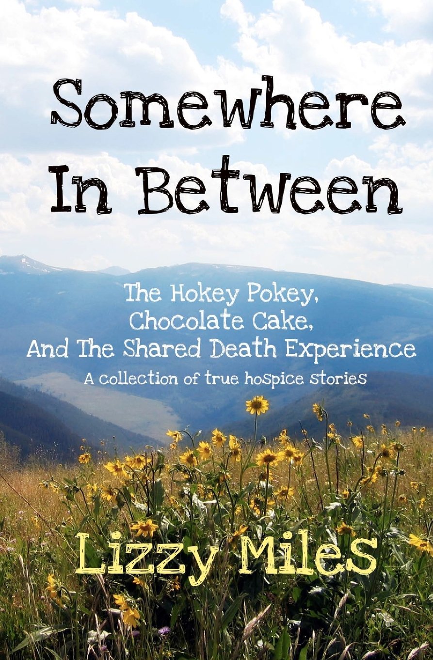 Somewhere In Between: The Hokey Pokey, Chocolate Cake, and The Shared Death Experience,Used