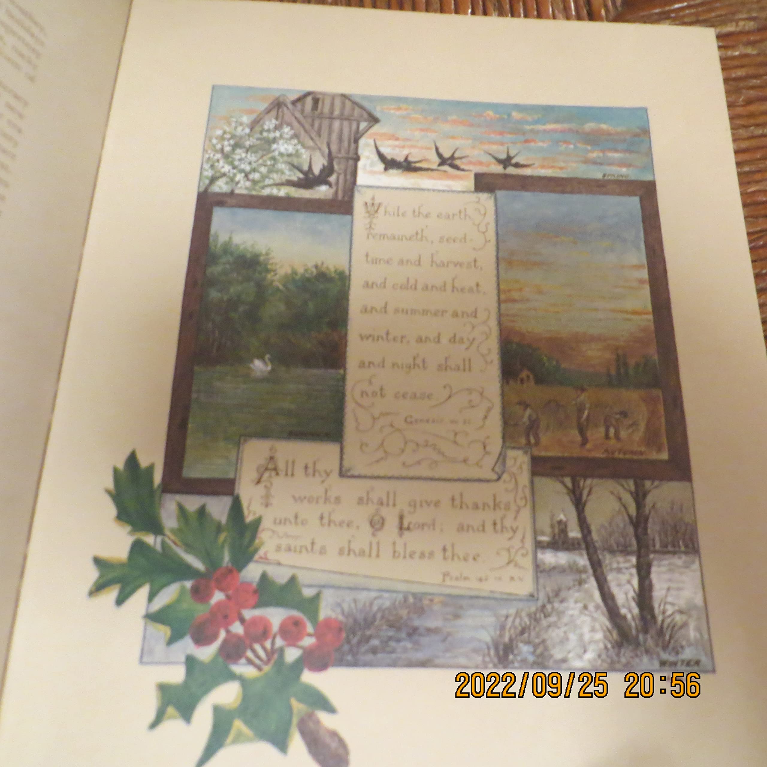 The Seasons by Lawrence, Louis (1981) Hardcover,Used