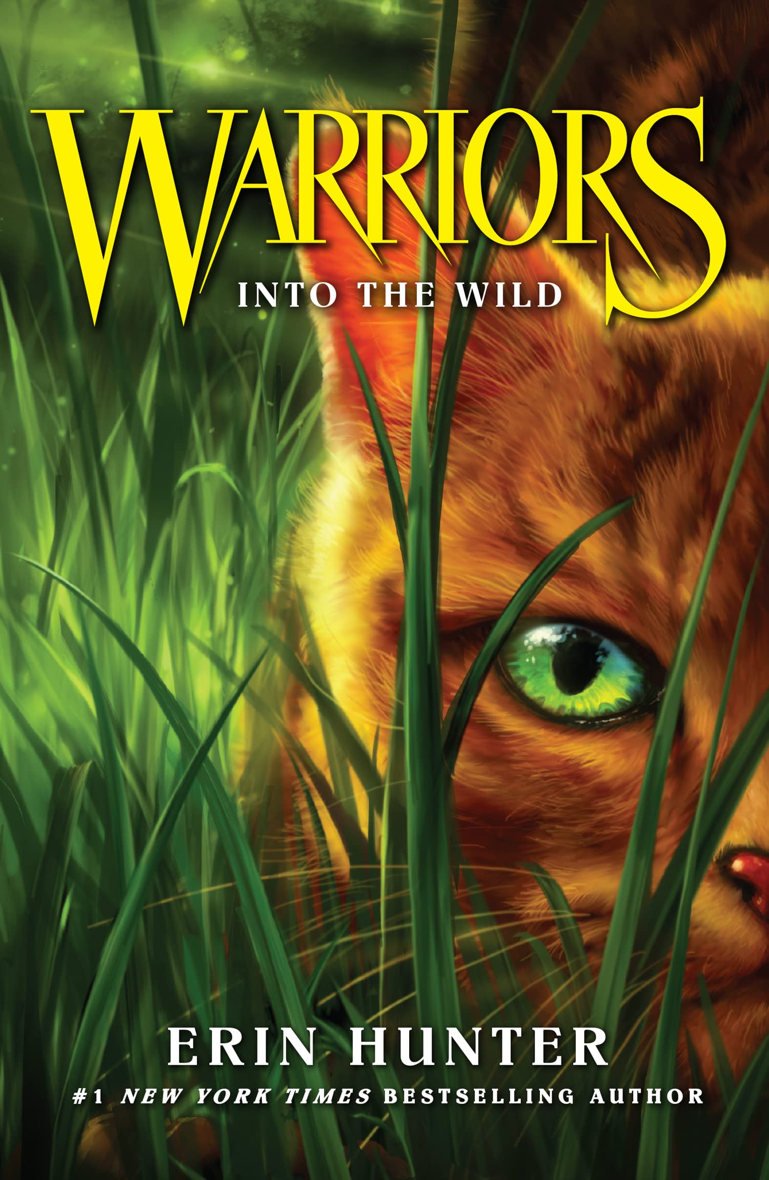 Into the Wild,Used