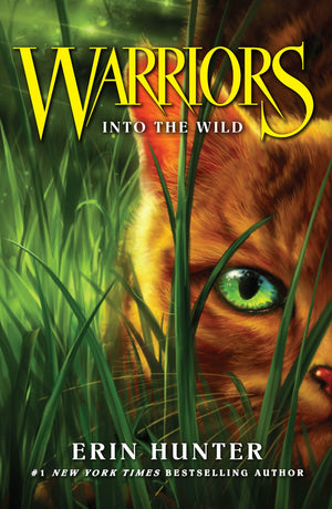 Into the Wild,Used