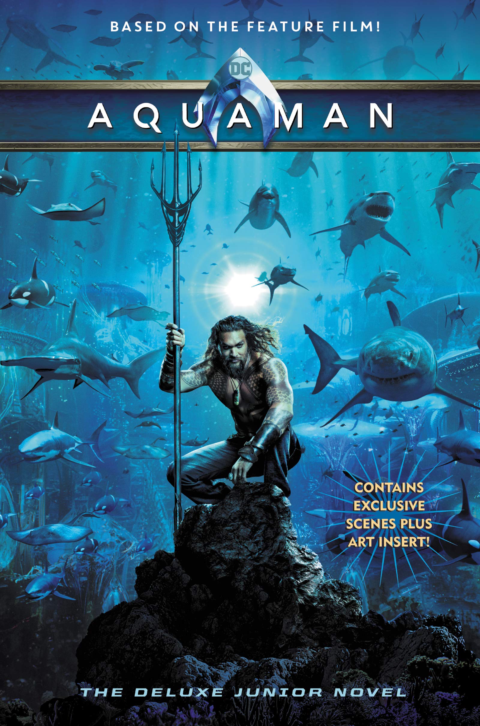 Aquaman: The Deluxe Junior Novel,Used