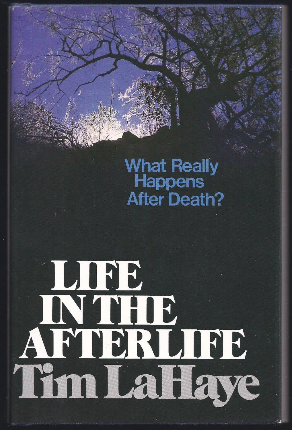 Life in the Afterlife: What Really Happens After Death?,Used
