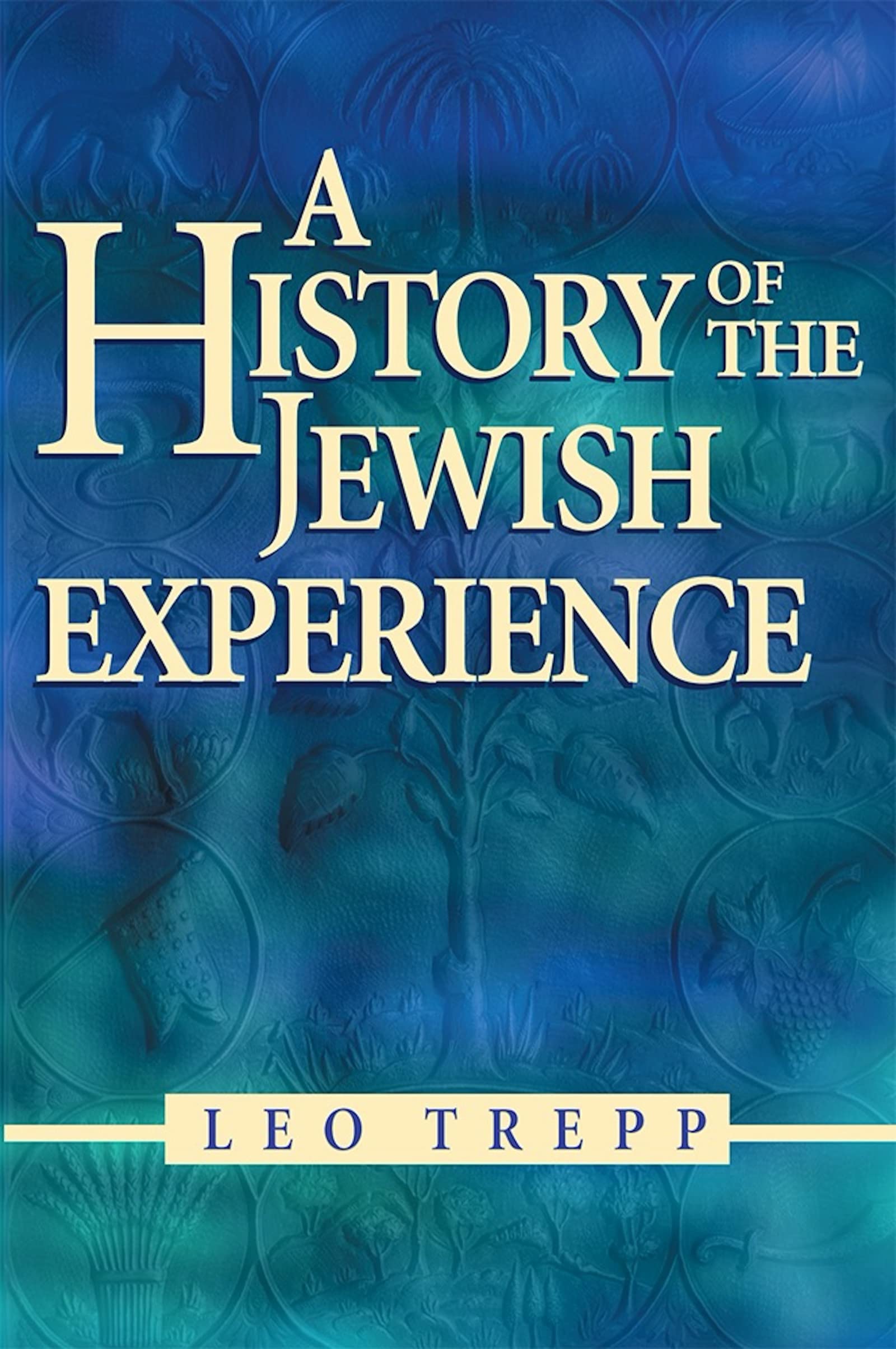 A History of the Jewish Experience 2nd Edition,Used