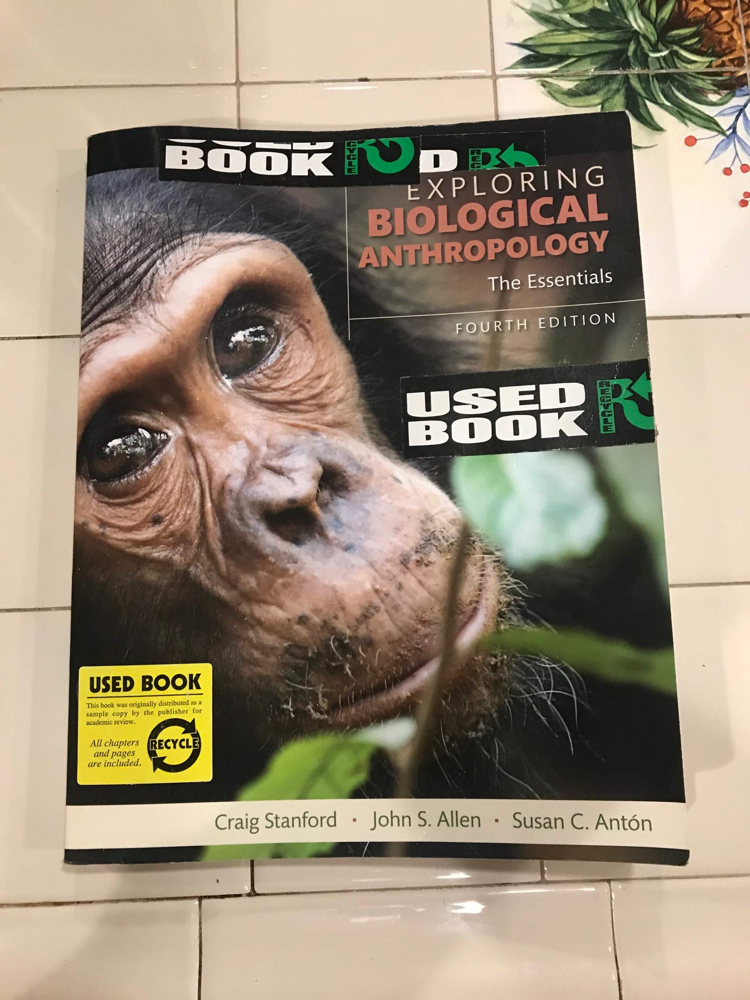 Exploring Biological Anthropology: The Essentials (4Th Edition)
