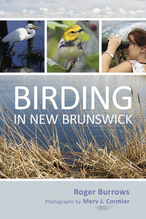 Birding in New Brunswick,Used