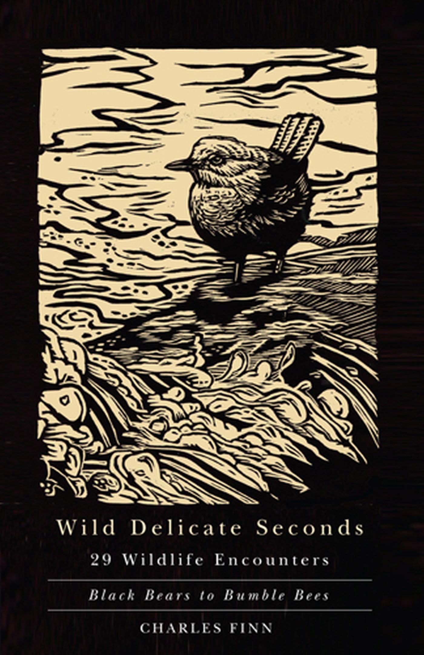 Wild Delicate Seconds: 29 Wildlife Encounters,Used