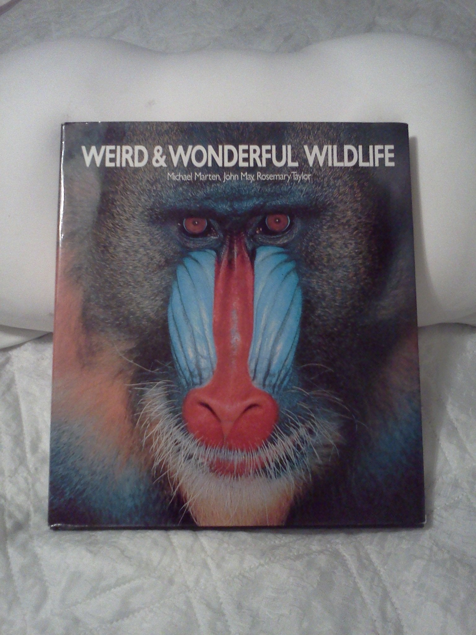 Weird & Wonderful Wildlife,Used