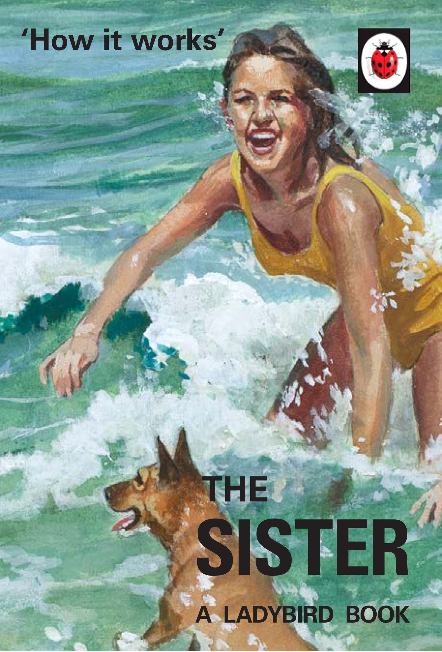 How it Works: The Sister (Ladybird for GrownUps),Used