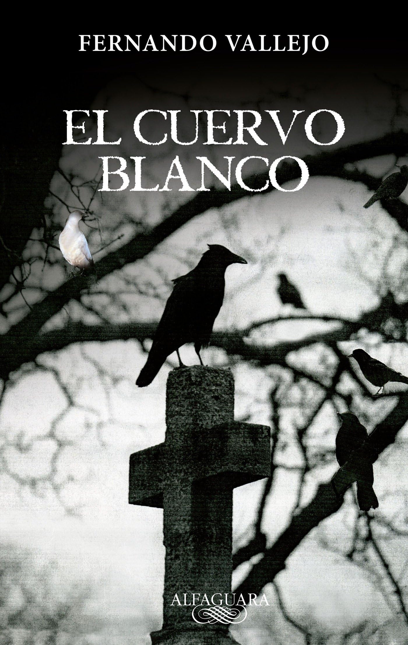 El cuervo blanco / The White Crow (Spanish Edition),Used