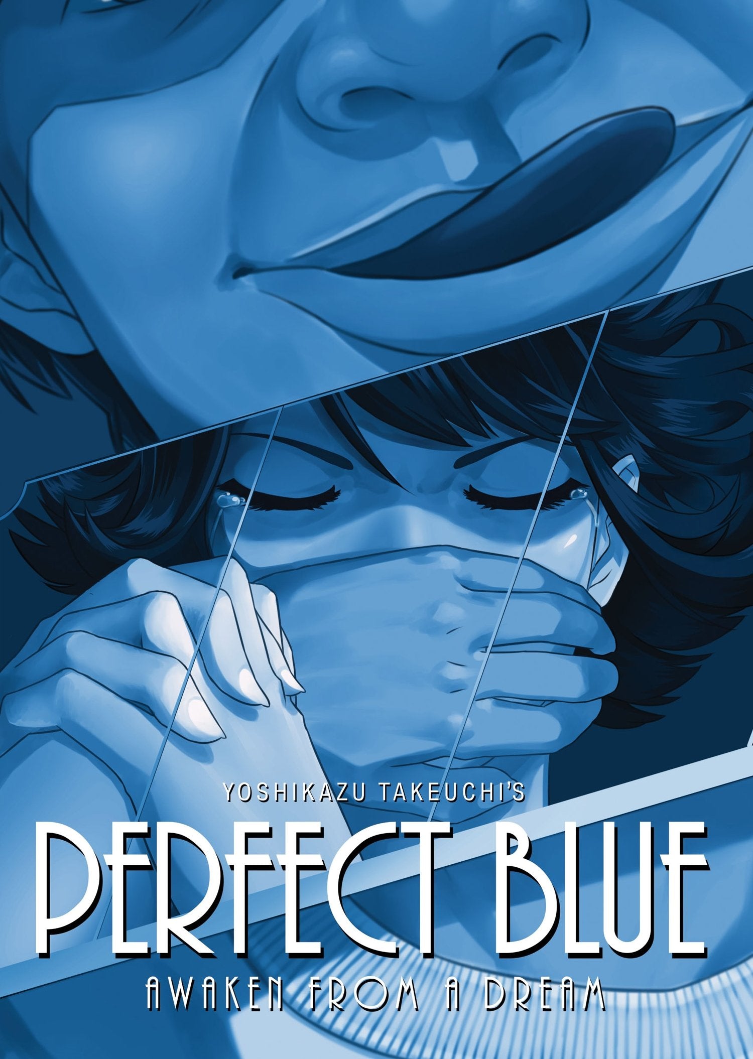 Perfect Blue: Awaken from a Dream (Light Novel) (Perfect Blue (Light Novel)),Used