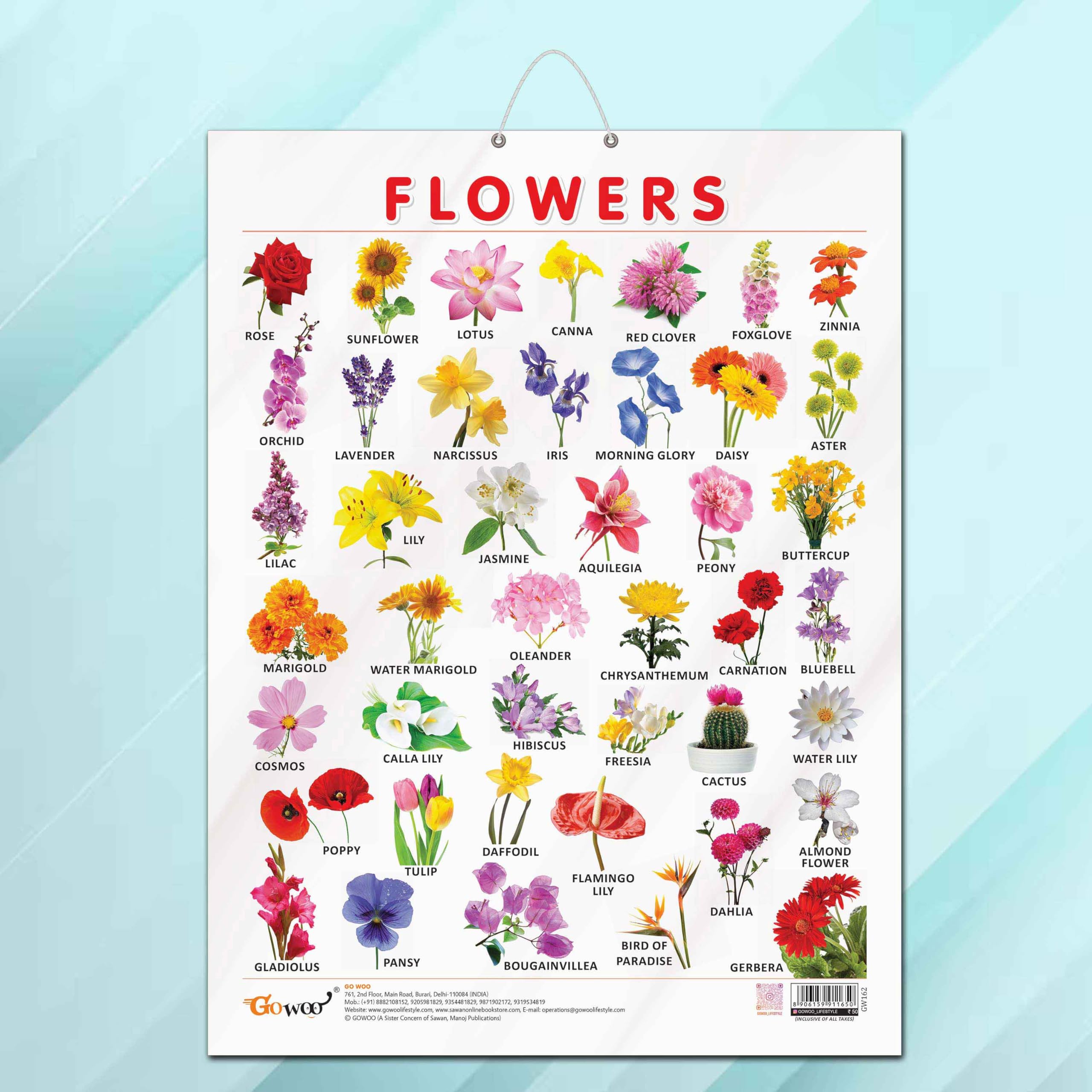 Flowers Chart Gloss Laminated |Flower Wonderland: Glossy Identification Chart For Kids