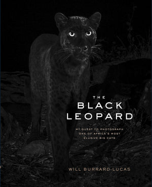 The Black Leopard: My Quest To Photograph One Of Africas Most Elusive Big Cats