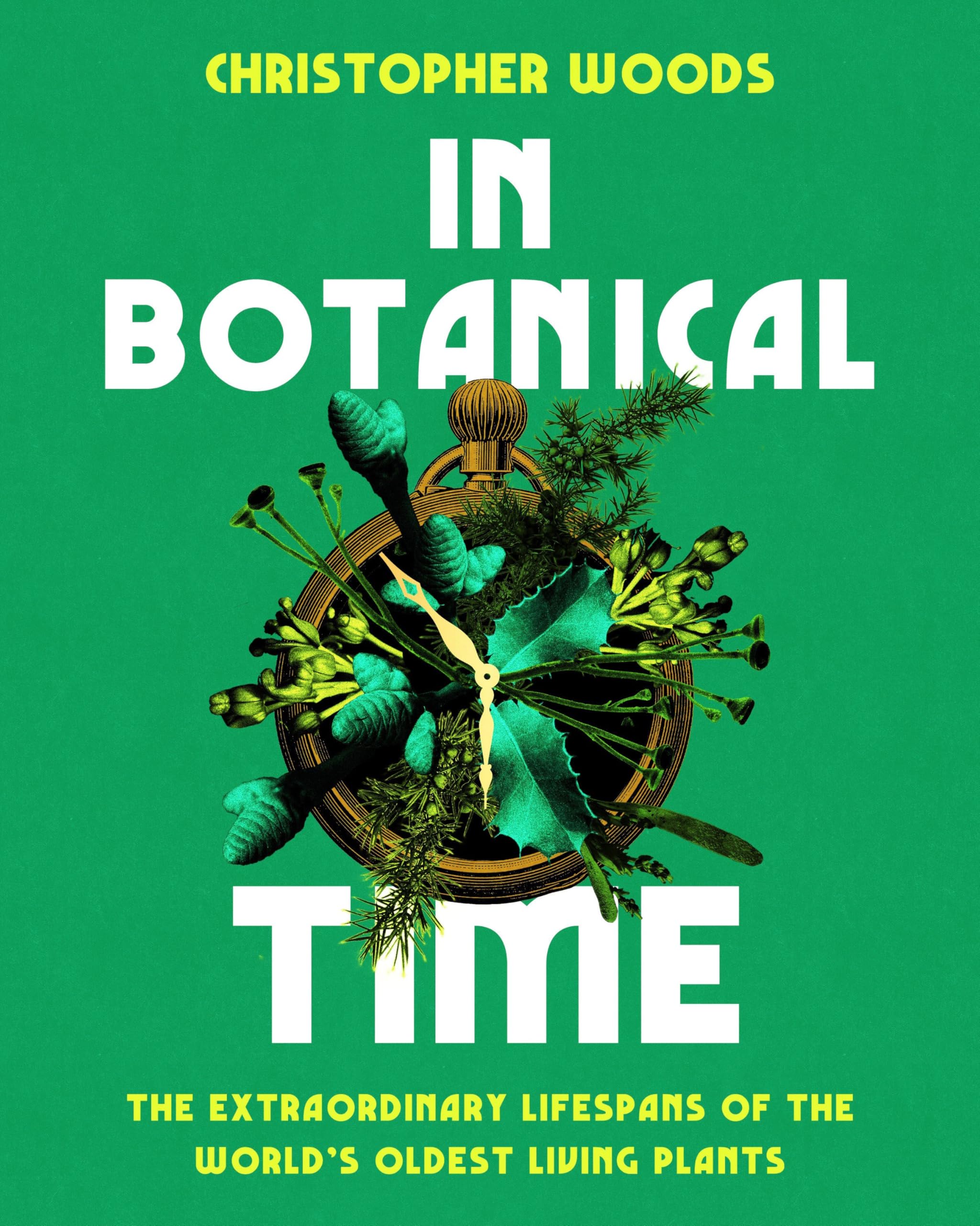 In Botanical Time: The Extraordinary Lifespans Of The WorldS Oldest Living Plants