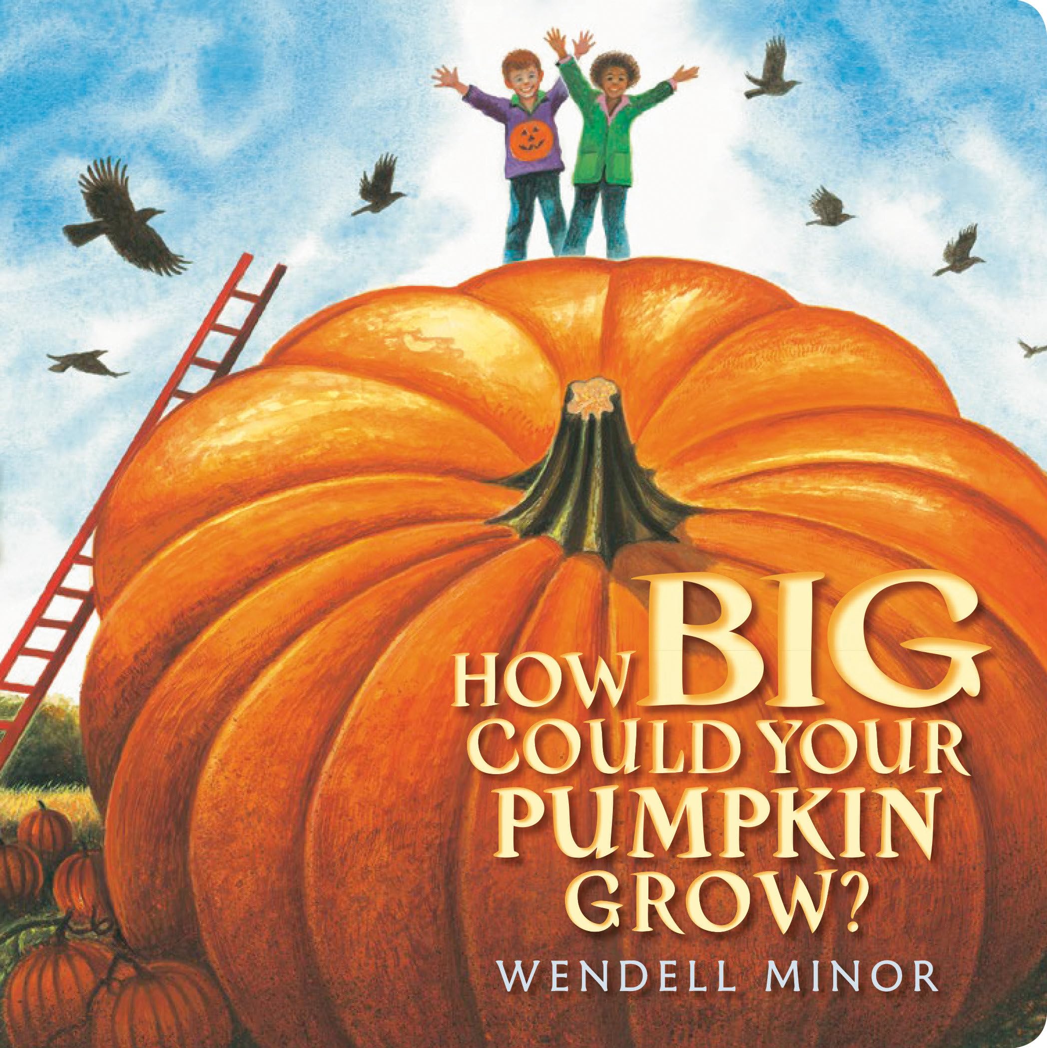 How Big Could Your Pumpkin Grow?,Used