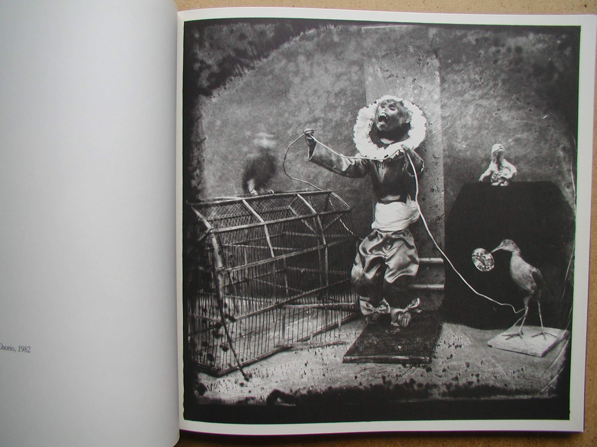 Joelpeter Witkin