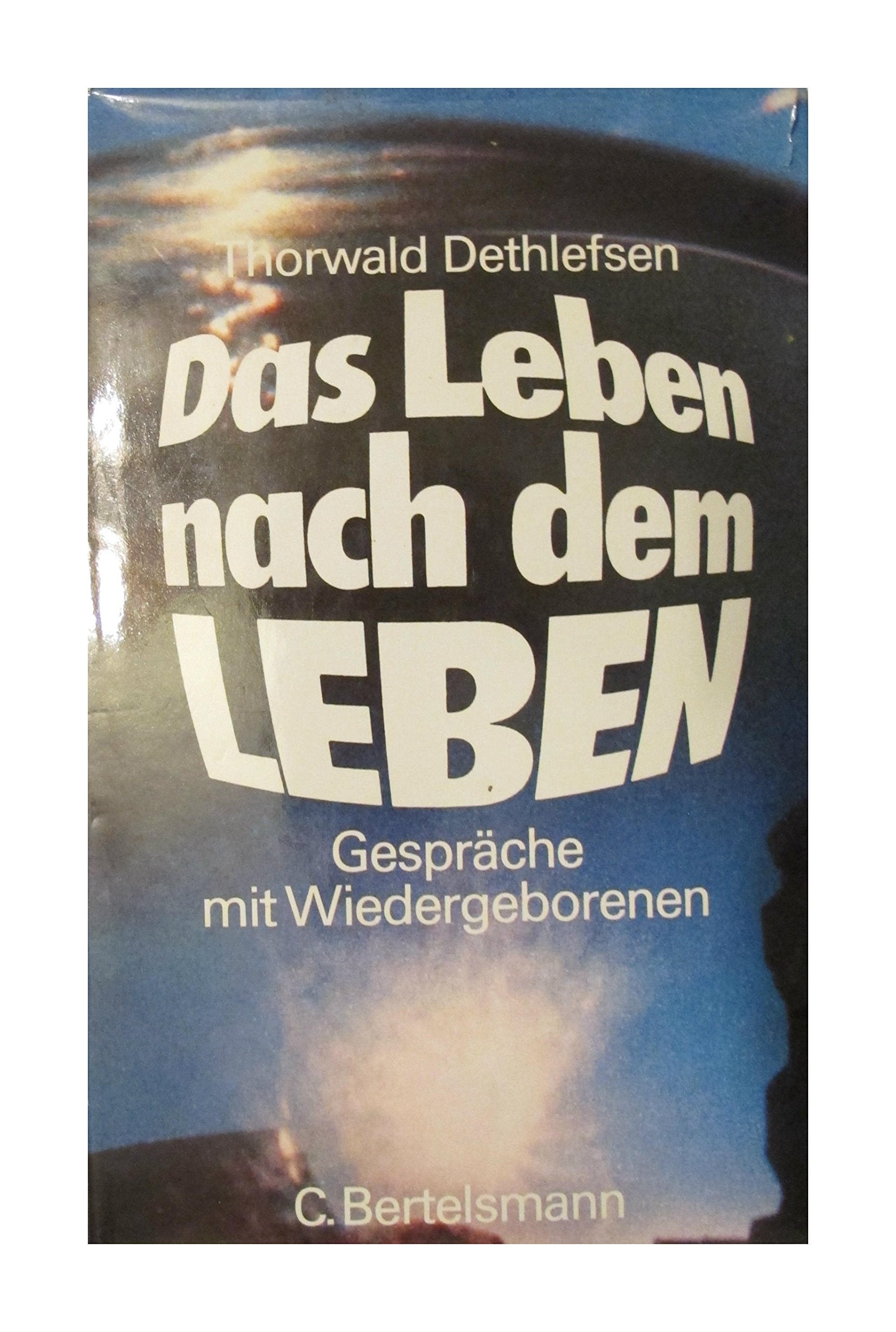 Das Leben Nach Dem Leben: Gesprache Mit Wiedergeborenen (German Edition)