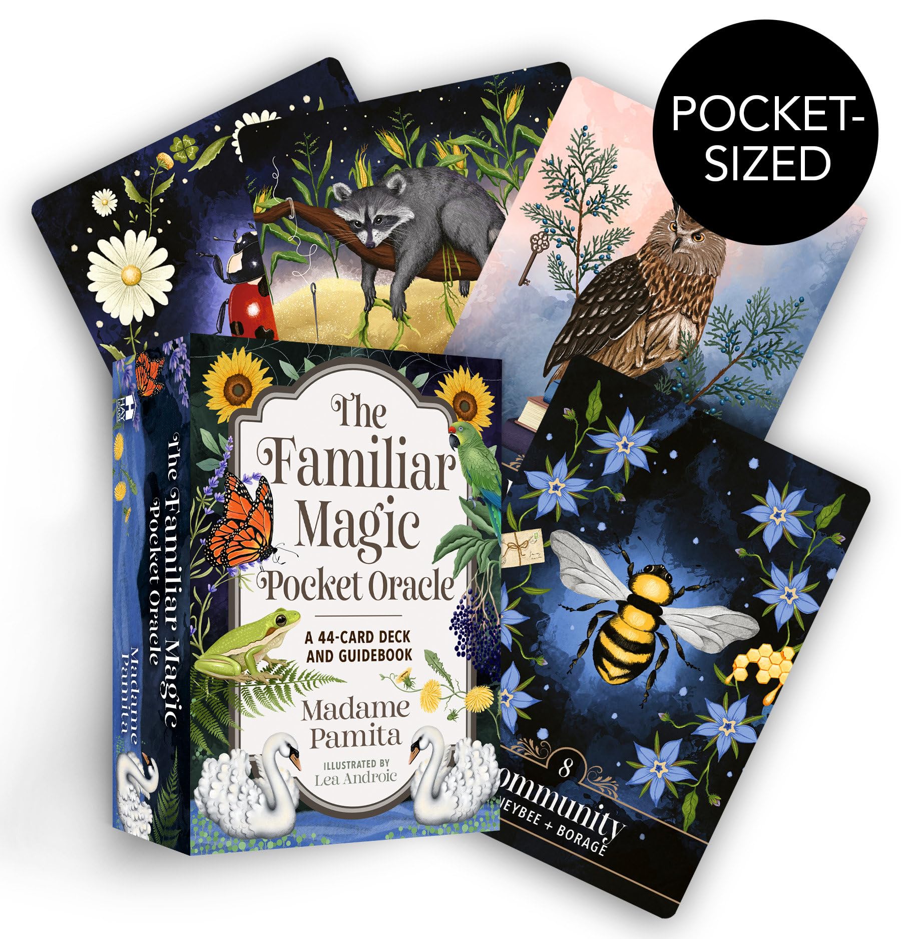 The Familiar Magic Pocket Oracle: A 44Card Deck And Guidebook