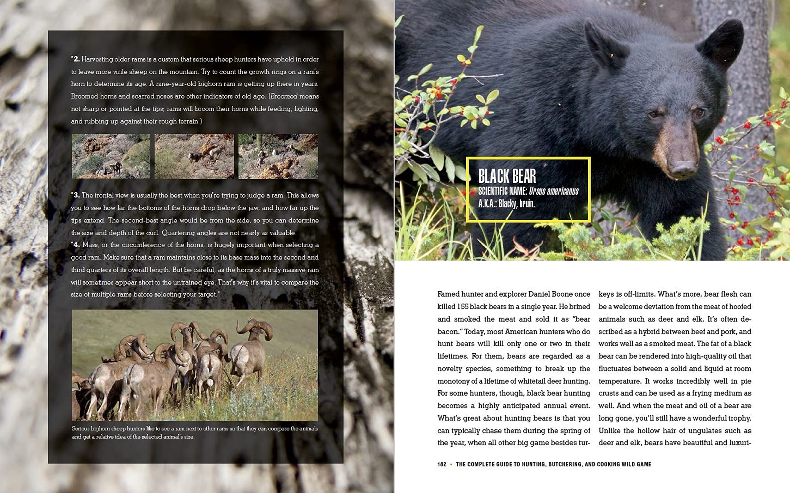 The Complete Guide To Hunting, Butchering, And Cooking Wild Game: Volume 1: Big Game,Used