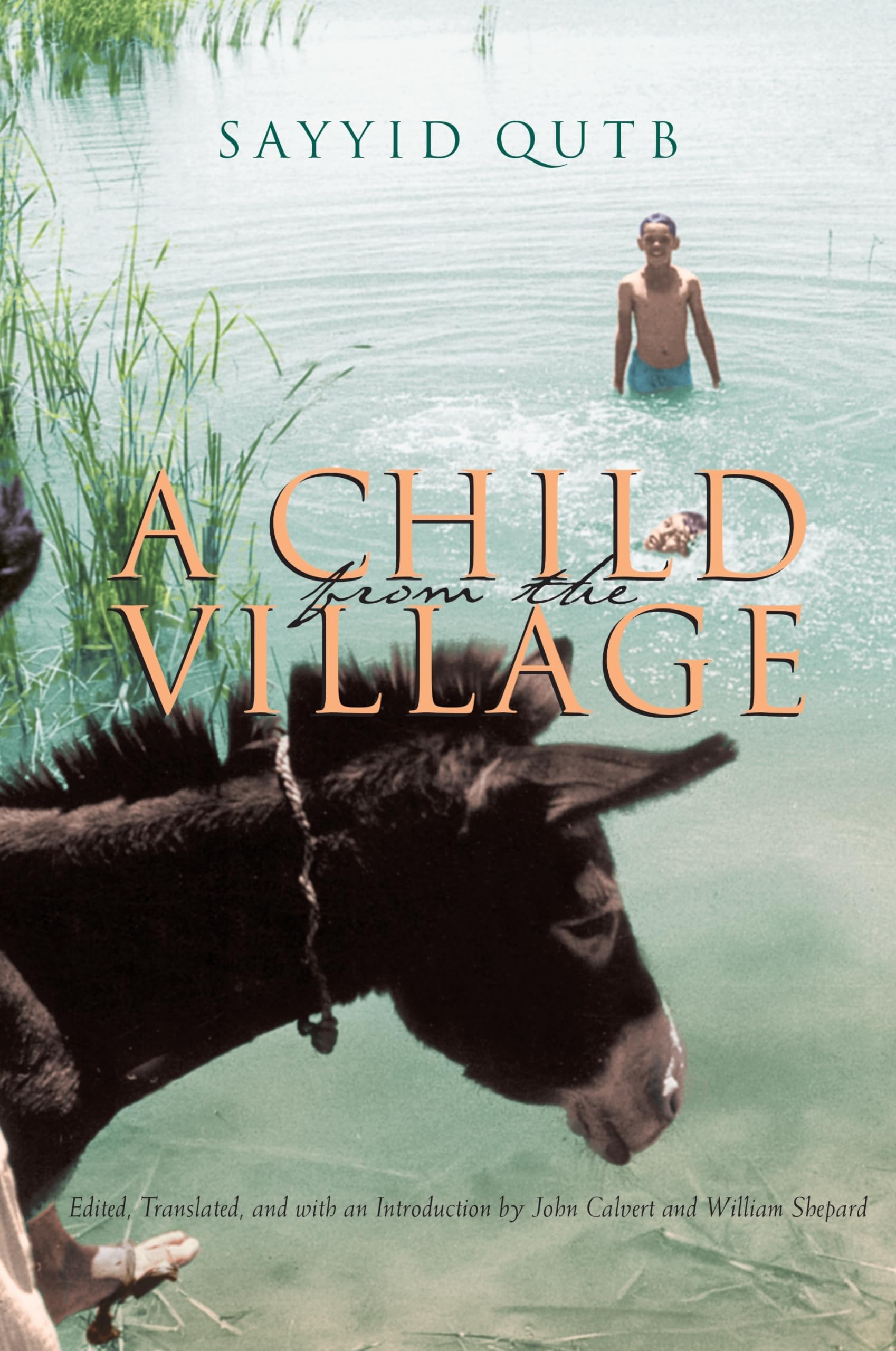 A Child From the Village (Middle East Literature In Translation),Used
