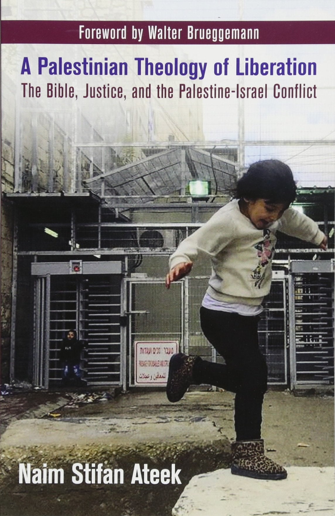 A Palestinian Theology of Liberation: The Bible, Justice, and the PalestineIsrael Conflict,Used