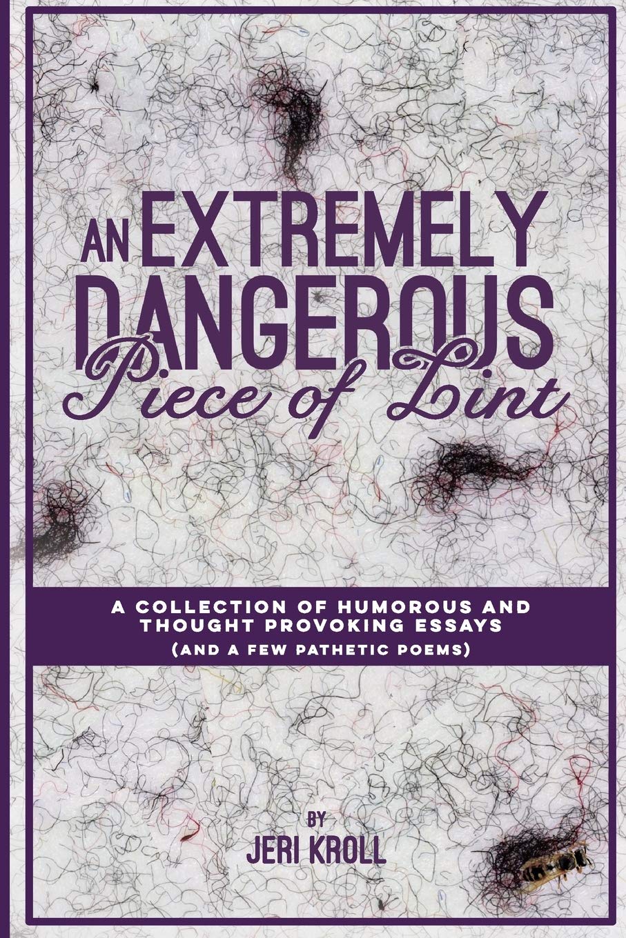 An Extremely Dangerous Piece of Lint: A Collection of Humorous and Thought Provoking Essays (And a Few Pathetic Poems),Used