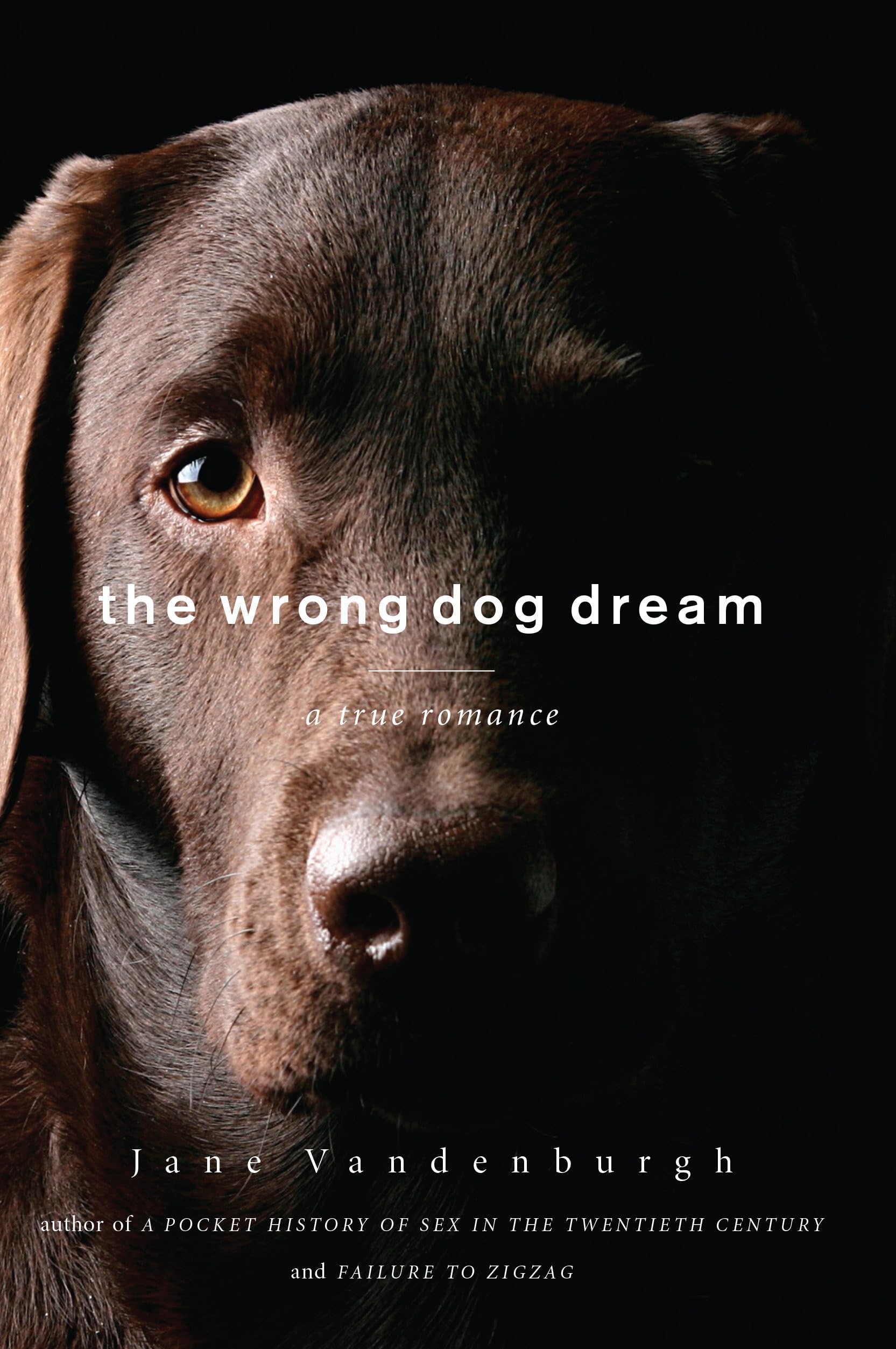 The Wrong Dog Dream: A True Romance,Used