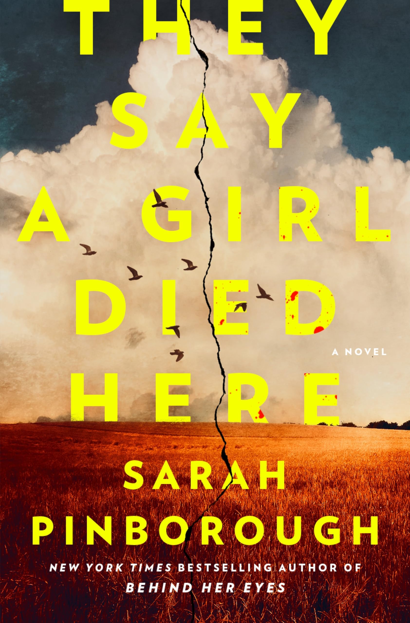 They Say A Girl Died Here: A Novel