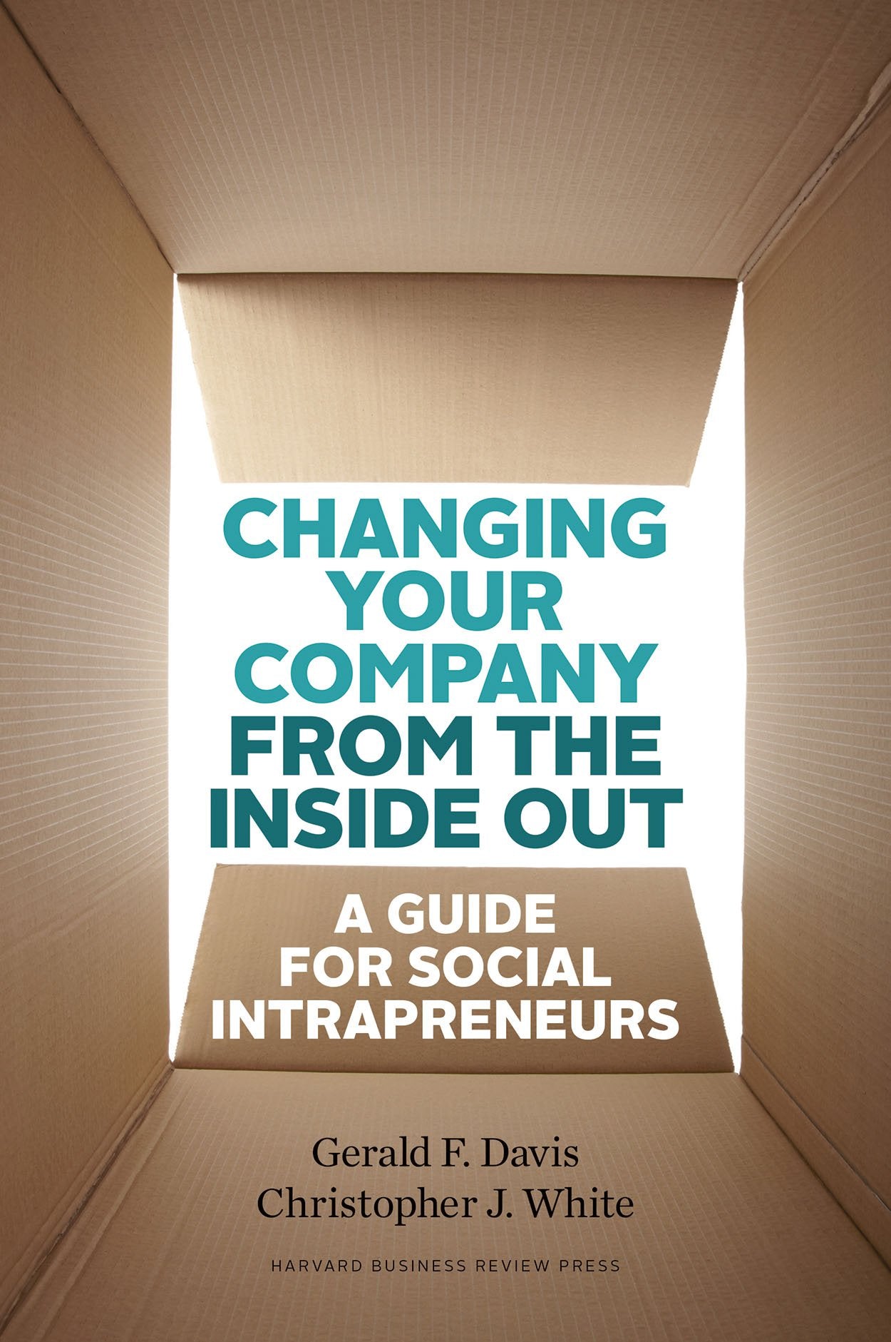 Changing Your Company from the Inside Out: A Guide for Social Intrapreneurs,New