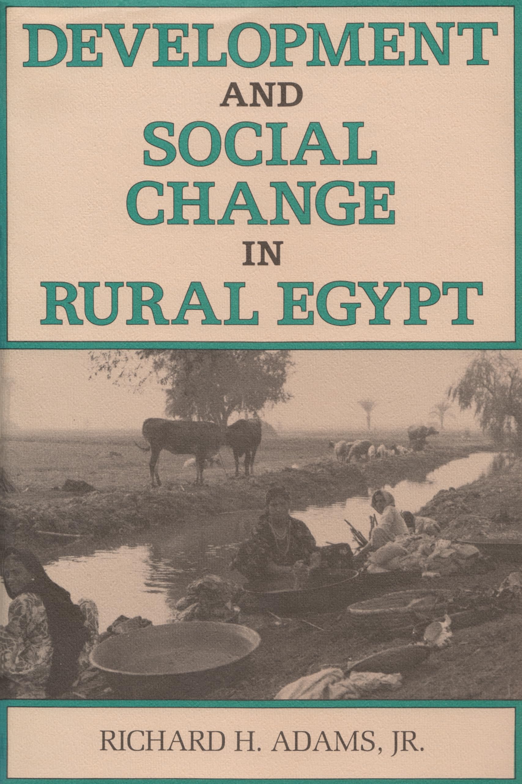 Development And Social Change In Rural Egypt (Contemporary Issues In The Middle East),Used