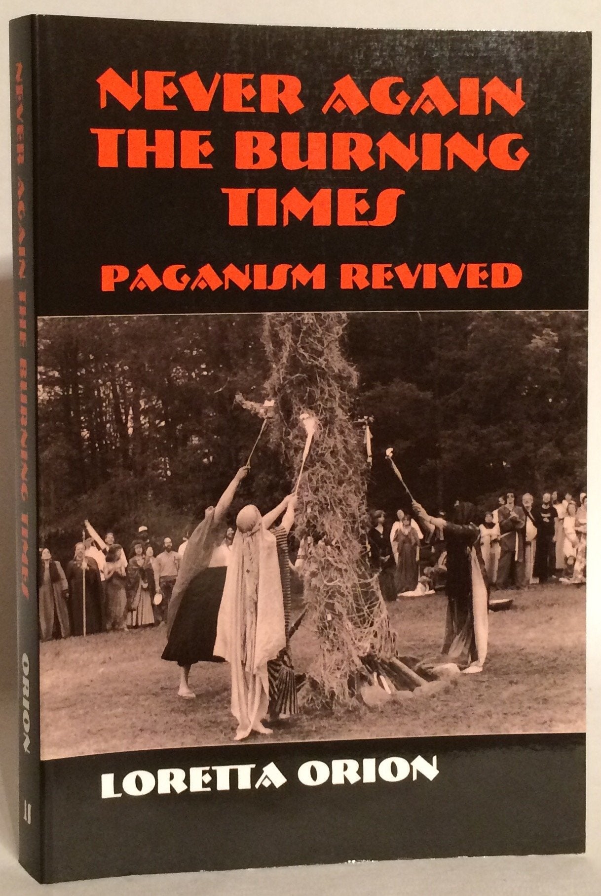 Never Again the Burning Times: Paganism Revived,Used