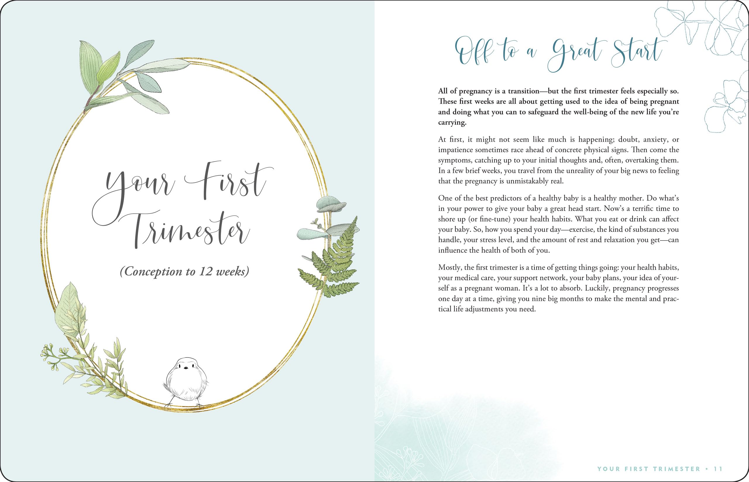 Pregnancy Journal: A WeekByWeek Guide to a Happy, Healthy Pregnancy (Deluxe, Clothbound 3rd edition),Used