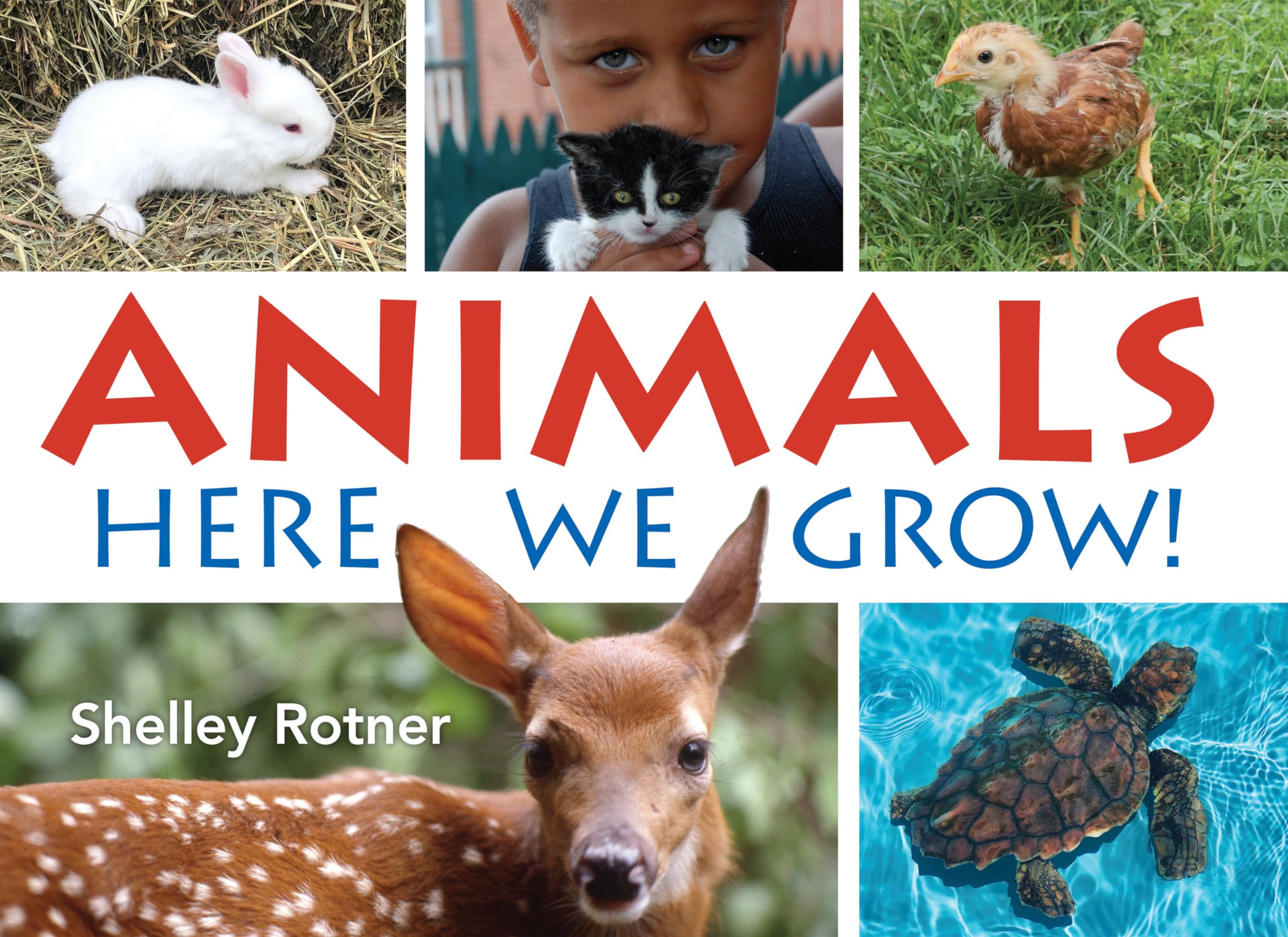 Animals!: Here We Grow-used