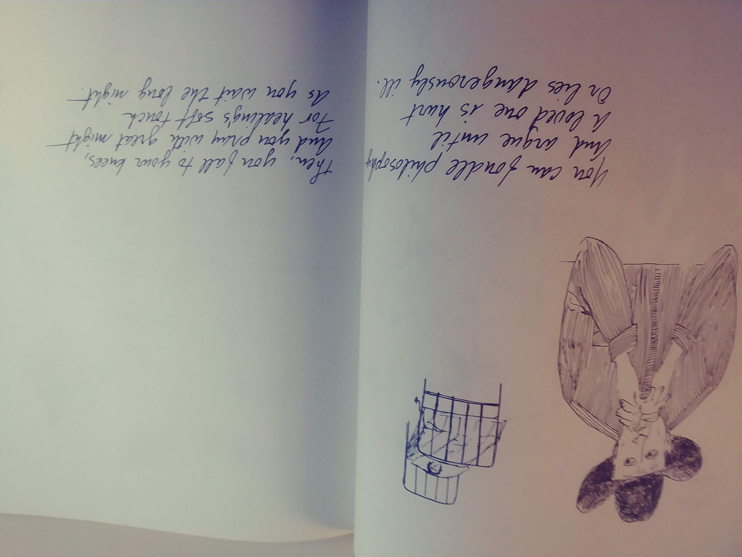 Life Between the Questions,Used