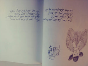 Life Between the Questions,Used