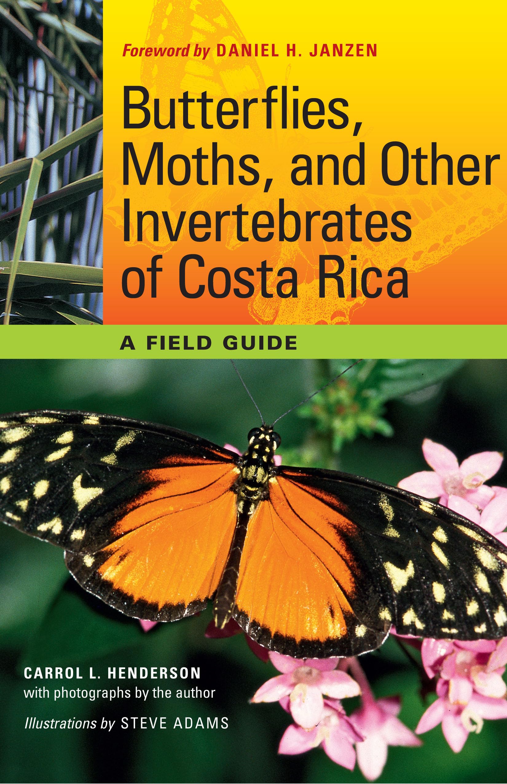 Butterflies, Moths, and Other Invertebrates of Costa Rica: A Field Guide (Corrie Herring Hooks Series),Used