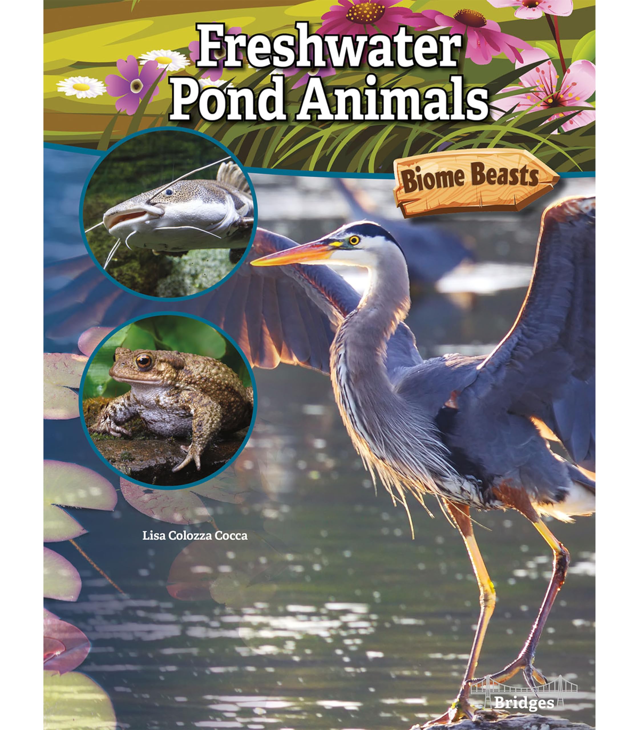 Rourke Educational Media Biome Beasts Freshwater Pond Animals Reader,Used