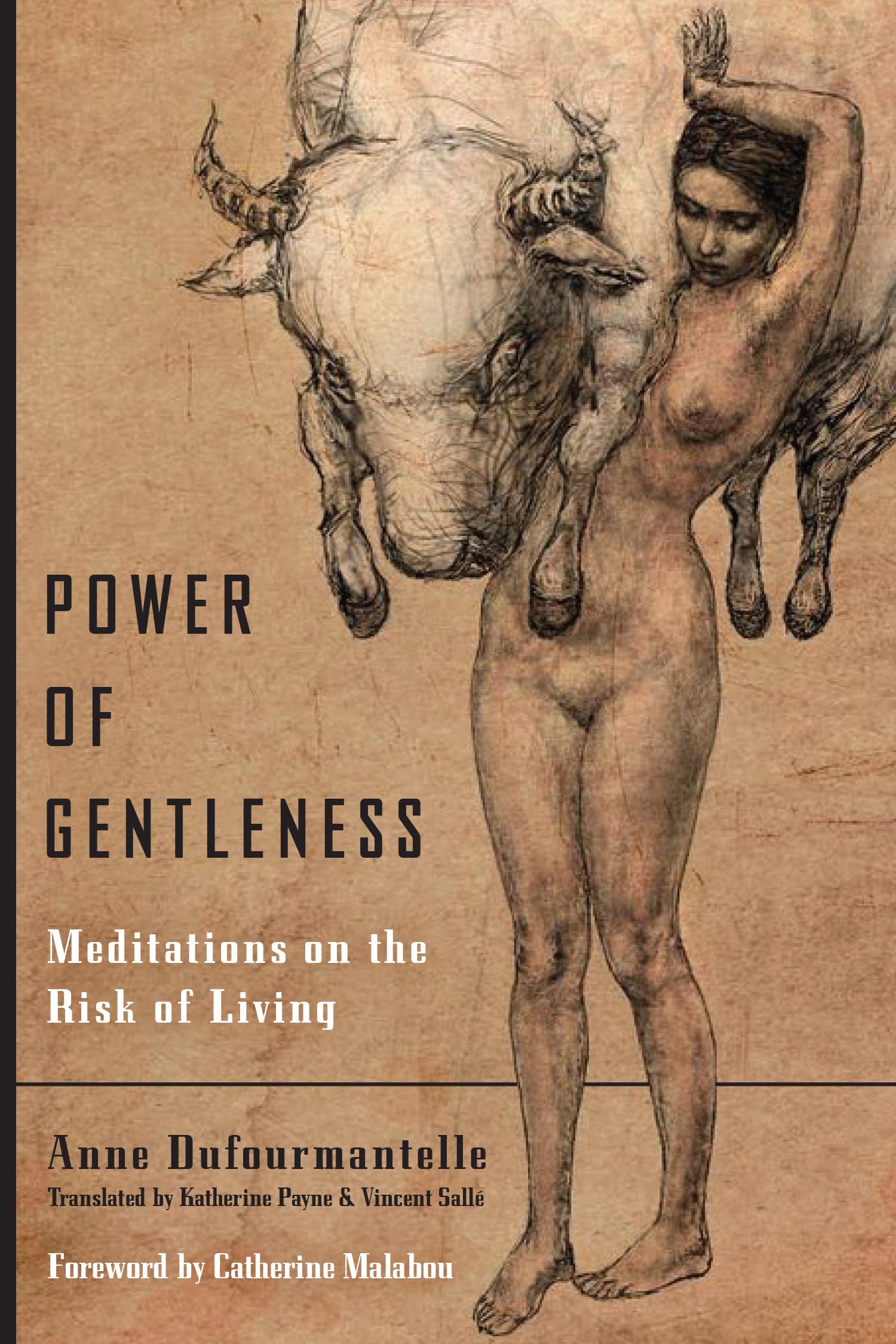Power of Gentleness: Meditations on the Risk of Living,Used