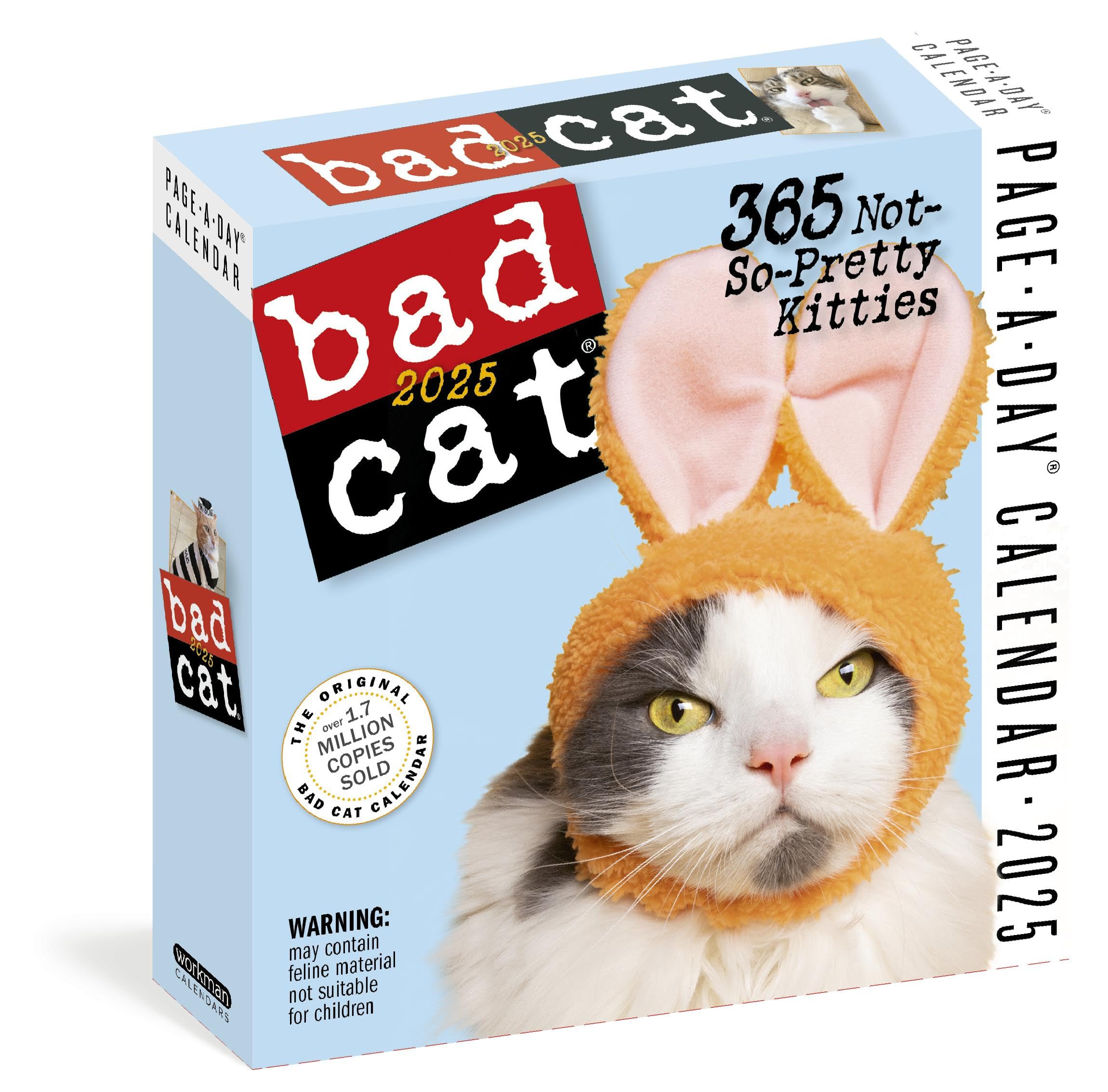 Bad Cat PageADay Calendar 2025: 365 NotSoPretty Kitties